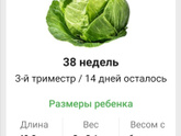 38 недель, режим ждуна👍