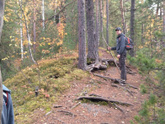 наши красоты