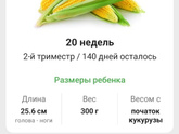 Всем привет🧸 девочки, у