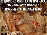 Поделитесь, как вы взяли животинку с улицы?