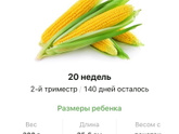 20 недель .