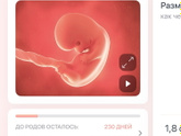 Радость 🥰