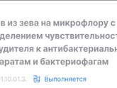 Это просто жесть