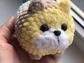Новый котик-колобок ???