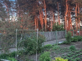 Деревня 🌲🌷🌻