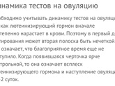 тест на овуляцию