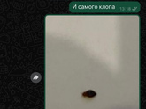 Очень нужны ваши ответы.Кто покупал матрас или мебель фирмы Аскона?