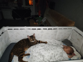 Покупки ребенку