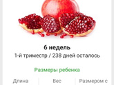 6 недель!!! 🤰🏼
