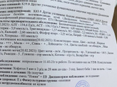 Одно лучше другого «печень»
