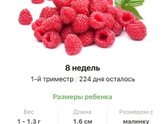 8 недель .