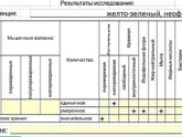 Девочки кто разбирается в