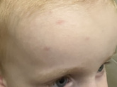 Девочки это похоже на
