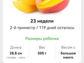 ??? 23 недельки???