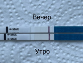 Вечерний