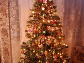 Пока, ёлочка 🎄🎄🎄
