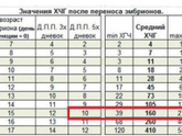 13 дпп, пришел ХГЧ