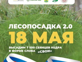 Лесопосадки