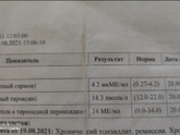 Кто разбирается