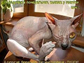 Тест: характер и день недели, в который вы родились