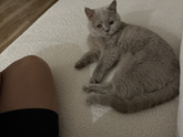 Лежим с моей🐱 все