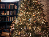 Искусственная или живая 🎄 ?))