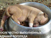 Логопед по скайпу - у кого получилось?