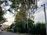 Мой отпуск,13.07.25