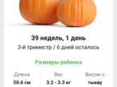 28 недель?