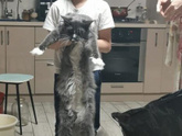 Знакомьтесь ?? наш плюшка?