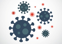 Штаммы коронавируса: виды и степень опасности