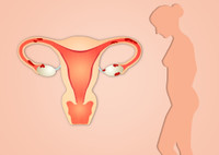 Эндометриоз и беременность: совместимы ли эти понятия?