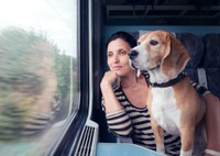 Пошаговая инструкция: как перевозить собаку в поезде