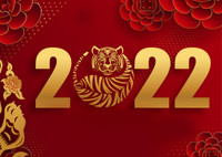 Как встречать 2022-й: советы по знакам Зодиака на год Тигра