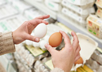 Секреты поваров: 5 способов, как определить свежесть яиц