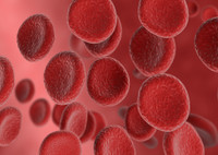 Какие продукты повышают гемоглобин в крови