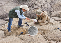 Сделано на века: при раскопках найден «документ», которым оформляли собственность на детей 4 000 лет назад