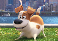Дай лапу, друг: 20+ лучших мультфильмов про собак