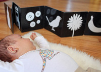 Черно-белые картинки для новорожденных: зачем нужны и как их показывать