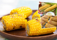 Хит лета: ароматная кукуруза по новому рецепту за 20 минут