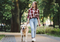 Прогулка с питомцем: как долго гулять с собакой