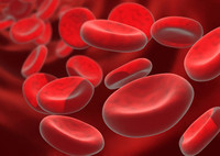 Ретикулоцитоз - увеличение ретикулоцитов в крови