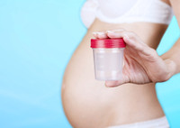 Как сдавать бак посев мочи при беременности, расшифровка результатов