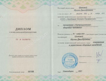 Диплом об окончании ВУЗа Шикова Ирина Дмитриевна