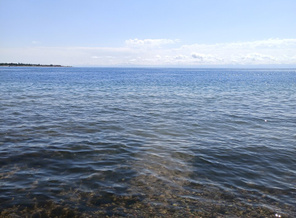 IMG_20200819_110712.jpg