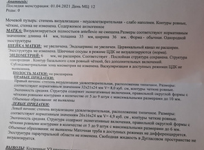 20210412_102839.jpg