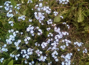 IMG_20230518_105847.jpg