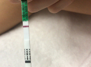 895442A8-E70C-448D-9111-96307C3C994E.jpeg