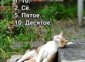 FB_IMG_1632058180091_1632321377225