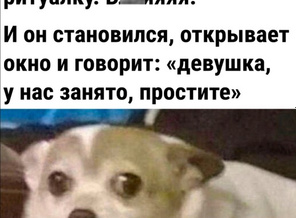 MOMLIFE_20221013_000959__1665598522025